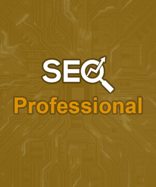 Growth SEO package
